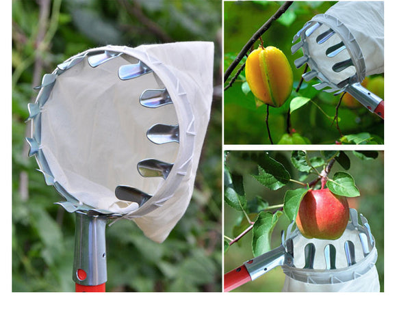 Recolector de Frutas Portátil con Canasta - Herramienta de Cosecha para Cítricos y Frutas