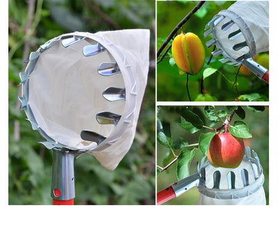 Recolector de Frutas Portátil con Canasta - Herramienta de Cosecha para Cítricos y Frutas - Image 4