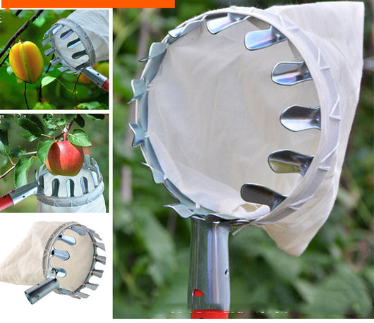 Recolector de Frutas Portátil con Canasta - Herramienta de Cosecha para Cítricos y Frutas - Image 5