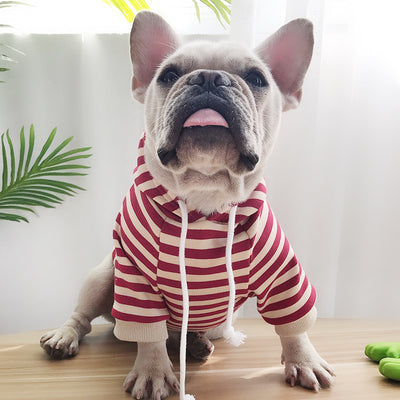 Playera Térmica Familiar a Rayas con Capucha para Mascotas - Otoño e Invierno - Image 8