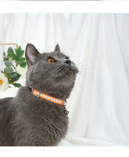 Collares Reflectantes para Mascotas con Hebilla de Plástico para Paseos al Aire Libre - Image 14