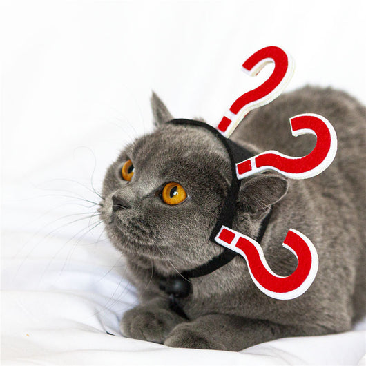 Diadema Gato Divertido con Trenzas - Accesor Felino Adorable - Image 11