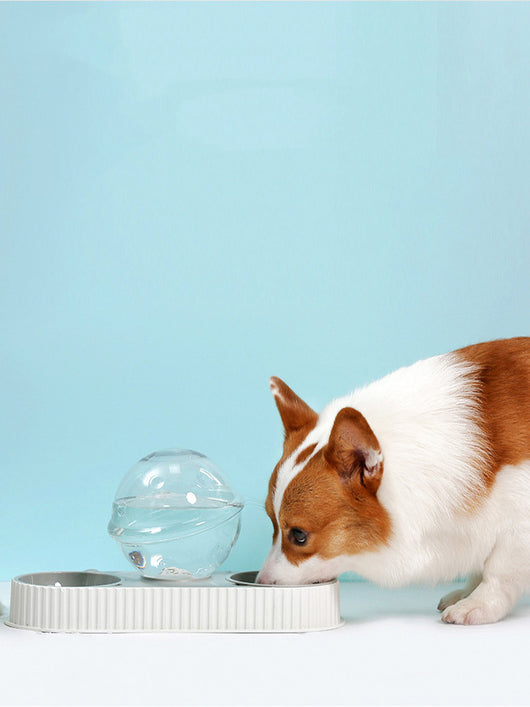 Comedero y Bebedero Automático para Mascotas - Alimentador Inteligente para Perros y Gatos - Image 13