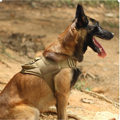 Chaleco Táctico de Entrenamiento K9 de Cinco Colores - Image 20