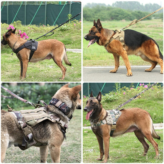 Chaleco Táctico de Entrenamiento K9 de Cinco Colores - Image 21