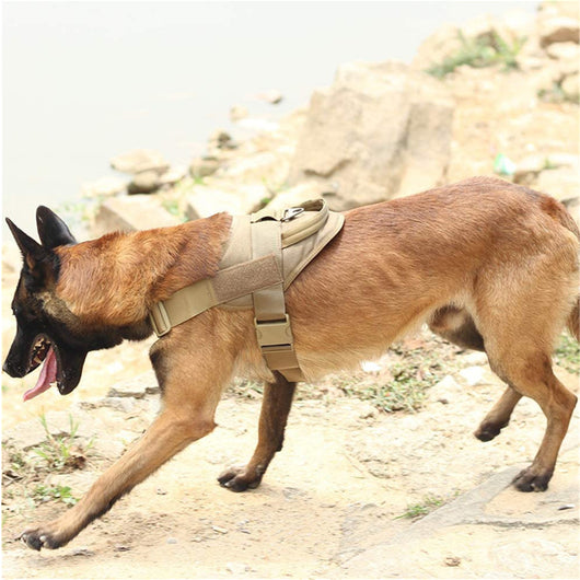 Chaleco Táctico de Entrenamiento K9 de Cinco Colores - Image 4