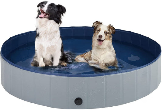 Piscina Plegable para Mascotas con Placa Antideslizante Reforzada - Image 2