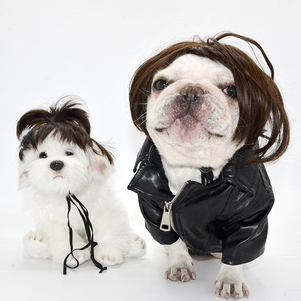 Pelucas y Accesorios de Moda para Mascotas - Disfraces y Tiara para Perros y Gatos