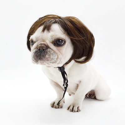 Pelucas y Accesorios de Moda para Mascotas - Disfraces y Tiara para Perros y Gatos - Image 4