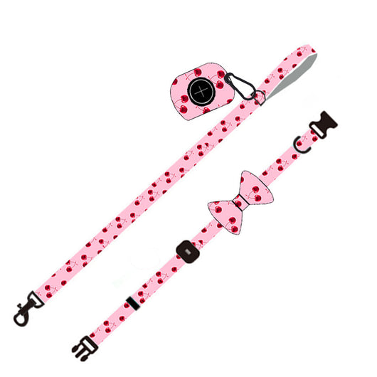 Juego de Correa para Perro - Arnés y Accesorios Completos - Image 11
