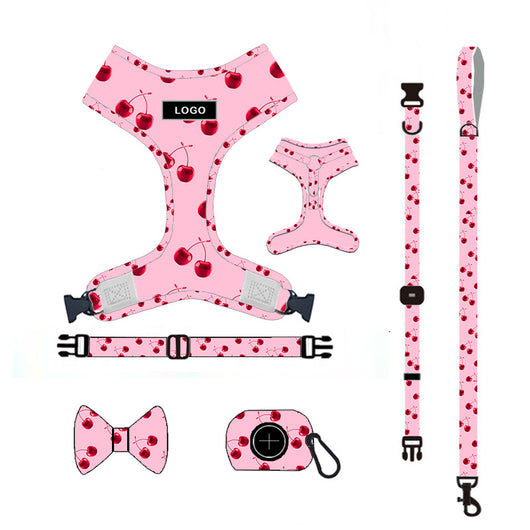 Juego de Correa para Perro - Arnés y Accesorios Completos - Image 10