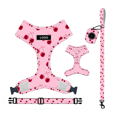 Juego de Correa para Perro - Arnés y Accesorios Completos - Image 12