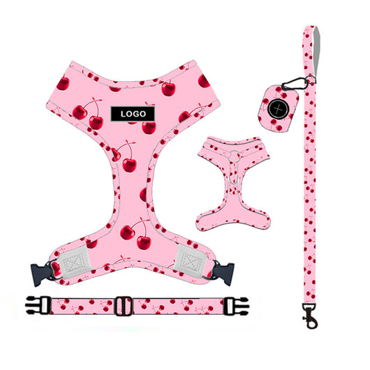 Juego de Correa para Perro - Arnés y Accesorios Completos - Image 12