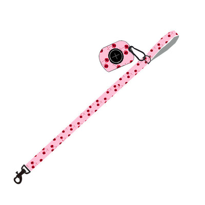 Juego de Correa para Perro - Arnés y Accesorios Completos - Image 9