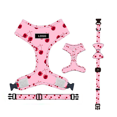 Juego de Correa para Perro - Arnés y Accesorios Completos - Image 3