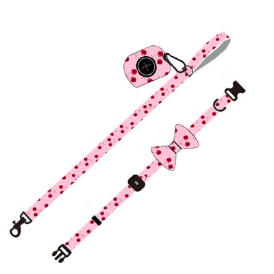 Juego de Correa para Perro - Arnés y Accesorios Completos - Image 4