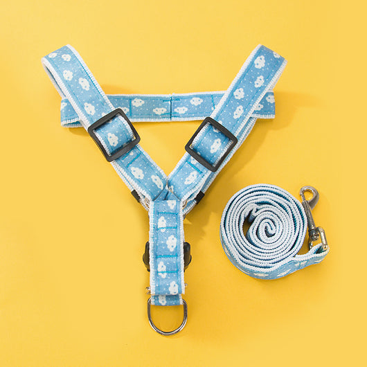 Correa Resistente para Perros y Gatos Pequeños - Estilo Vaquero Duradero - Image 11