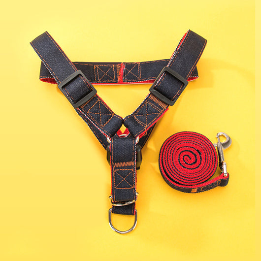 Correa Resistente para Perros y Gatos Pequeños - Estilo Vaquero Duradero - Image 4