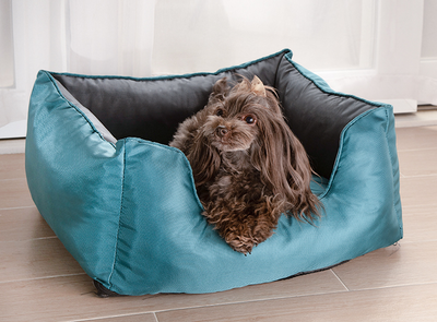 Casa para Perros Desmontable y Lavable - Para Todas las Estaciones - Image 8