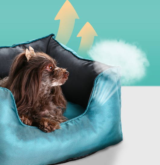 Casa para Perros Desmontable y Lavable - Para Todas las Estaciones - Image 7