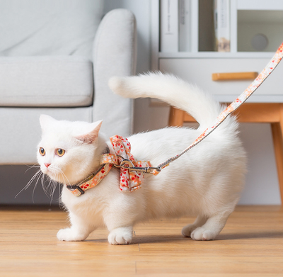 Arnés Mariposa Japonés con Correa de Tracción para Gatos - Image 12