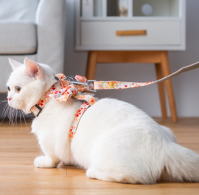 Arnés Mariposa Japonés con Correa de Tracción para Gatos - Image 15