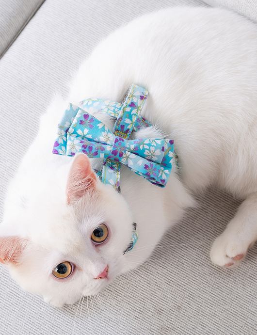 Arnés Mariposa Japonés con Correa de Tracción para Gatos - Image 16