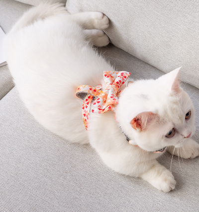 Arnés Mariposa Japonés con Correa de Tracción para Gatos - Image 18