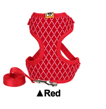 Arnés para Gato con Strass y Correa - Chaleco Respirable para Mascotas Pequeñas - Image 8
