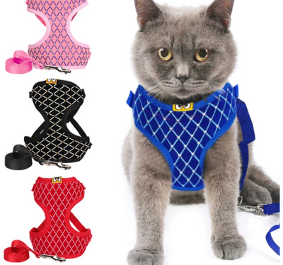 Arnés para Gato con Strass y Correa - Chaleco Respirable para Mascotas Pequeñas - Image 5
