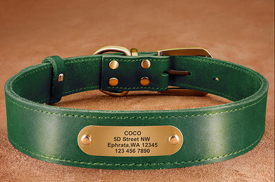 Collares Personalizados para Perros Medianos y Grandes con Placa de Identificación - Image 6