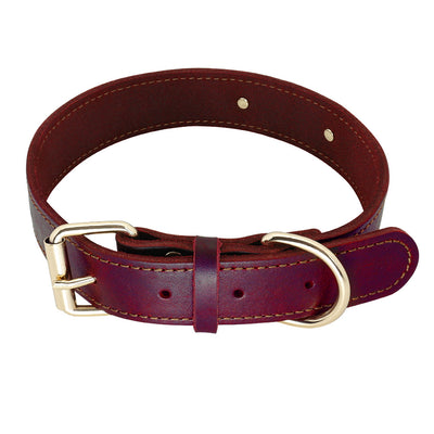 Collares Personalizados para Perros Medianos y Grandes con Placa de Identificación - Image 7