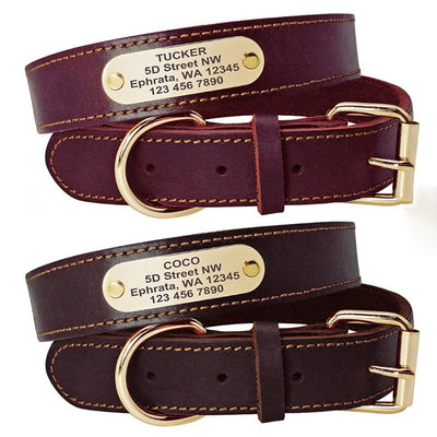 Collares Personalizados para Perros Medianos y Grandes con Placa de Identificación - Image 8