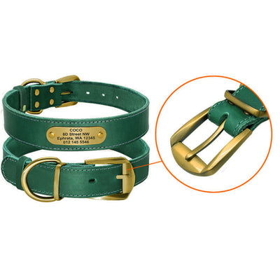 Collares Personalizados para Perros Medianos y Grandes con Placa de Identificación