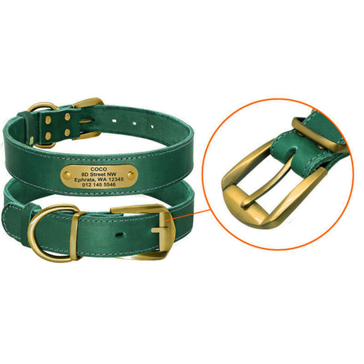 Collares Personalizados para Perros Medianos y Grandes con Placa de Identificación