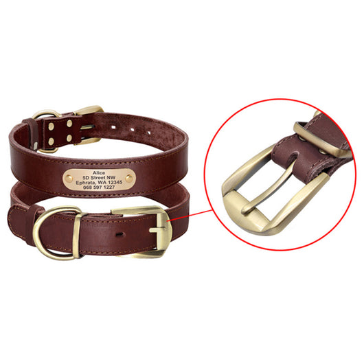 Collares Personalizados para Perros Medianos y Grandes con Placa de Identificación - Image 2