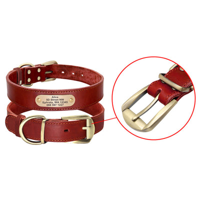 Collares Personalizados para Perros Medianos y Grandes con Placa de Identificación - Image 3