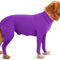 violet