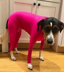 Ropa Térmica Elástica para Perros y Gatos - Abrigo Completo Otoño Invierno - Image 2