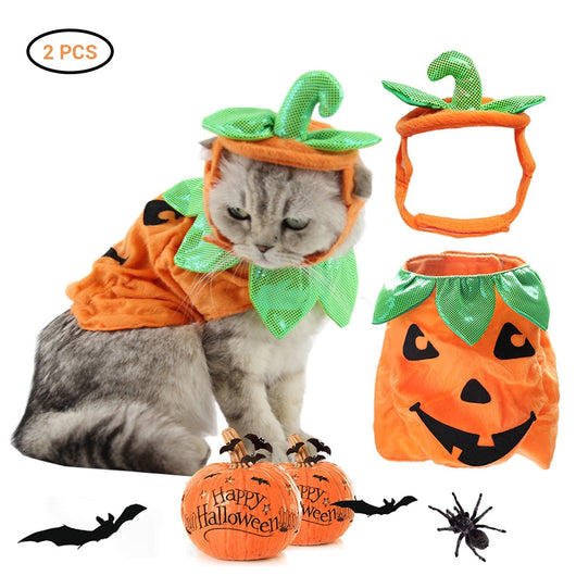 Disfraz de Gato Halloween con Decoración de Calabaza y Hojas Verdes