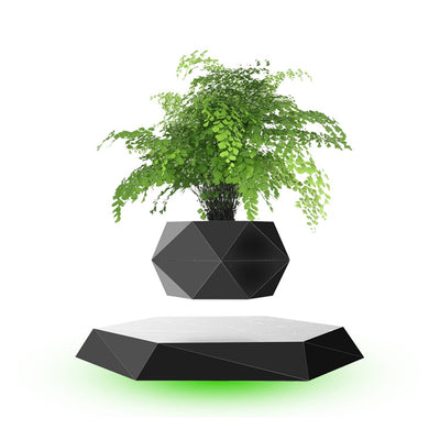 Maceta Flotante Magnética con Bonsái - Regalo Creativo Moderno - Image 7