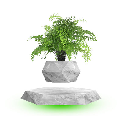 Maceta Flotante Magnética con Bonsái - Regalo Creativo Moderno - Image 8