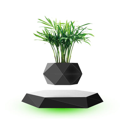 Maceta Flotante Magnética con Bonsái - Regalo Creativo Moderno - Image 9