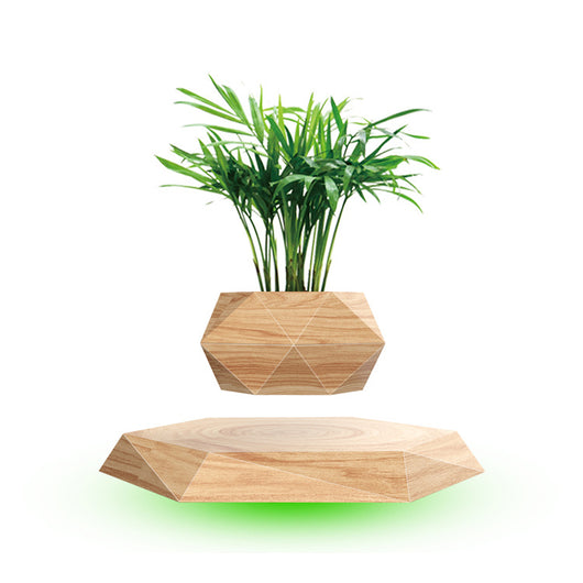 Maceta Flotante Magnética con Bonsái - Regalo Creativo Moderno - Image 11