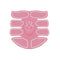 Rosado 1