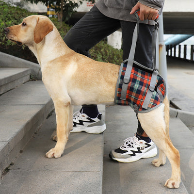 Arnés de Apoyo para Patas Traseras de Perros - Rehabilitación Postoperatoria - Image 6
