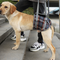 Arnés de Apoyo para Patas Traseras de Perros - Rehabilitación Postoperatoria