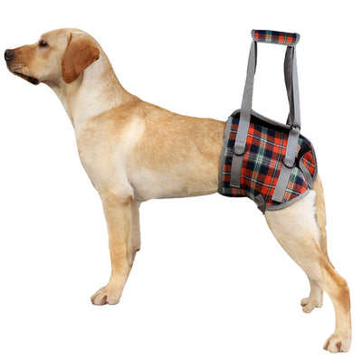 Arnés de Apoyo para Patas Traseras de Perros - Rehabilitación Postoperatoria - Image 4
