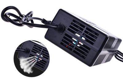 Cargador de Batería para Auto Eléctrico 48V - Image 2