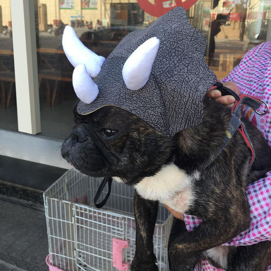 Gorro Dinosaurio Triceratops para Mascotas - Disfraz Divertido para Perros y Gatos - Image 9